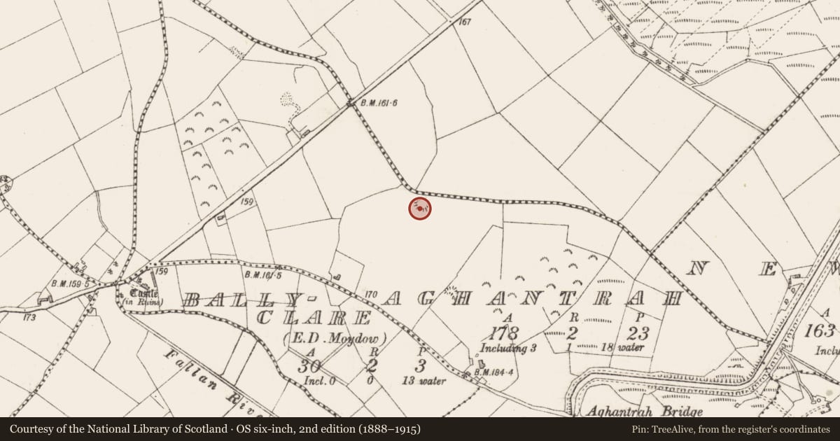 Ordnance Survey six-inch map, 2nd edition (1888–1915) covering the location of Enclosure, Aghantrah, County Longford, with a pin at the register's coordinates