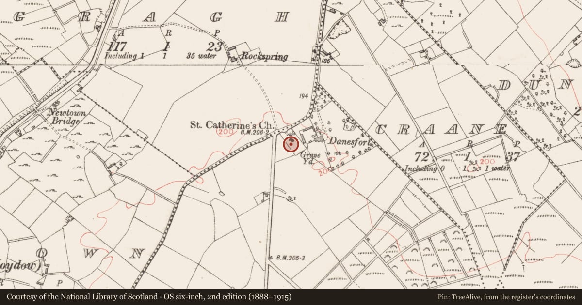 Ordnance Survey six-inch map, 2nd edition (1888–1915) covering the location of Graveyard, Curry, County Longford, with a pin at the register's coordinates
