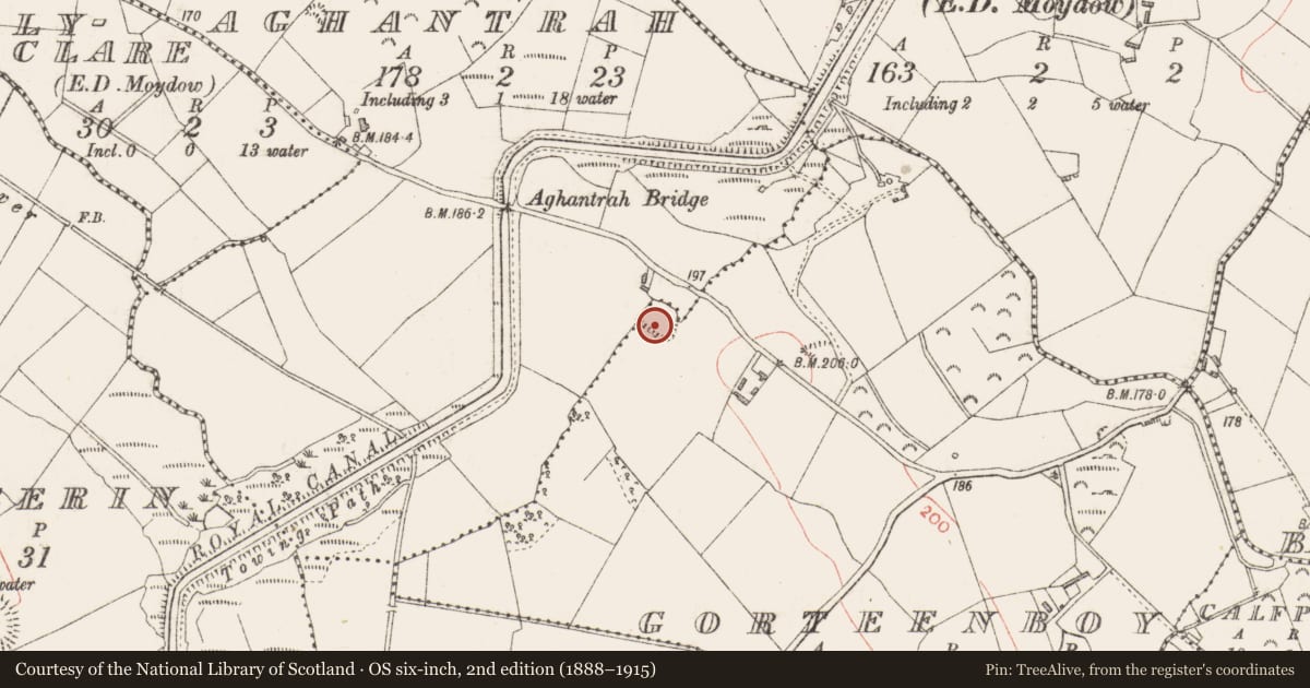 Ordnance Survey six-inch map, 2nd edition (1888–1915) covering the location of Ringfort - rath, Aghantrah, Gorteenboy, County Longford, with a pin at the register's coordinates