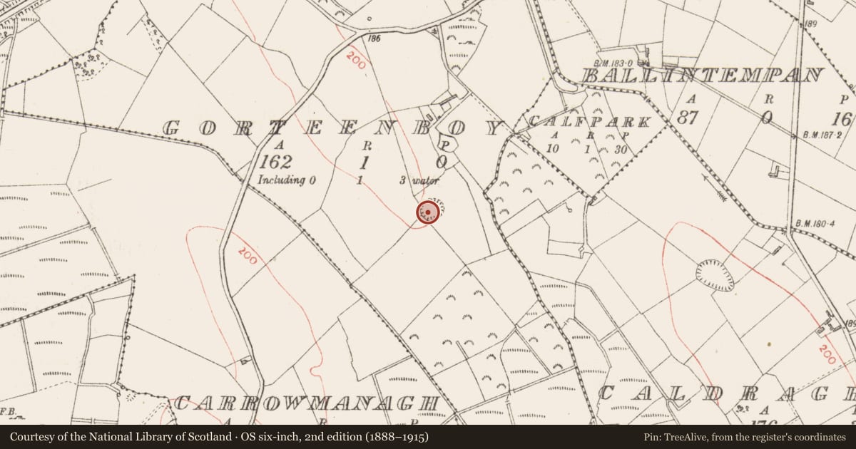 Ordnance Survey six-inch map, 2nd edition (1888–1915) covering the location of Ringfort - rath, Gorteenboy, County Longford, with a pin at the register's coordinates