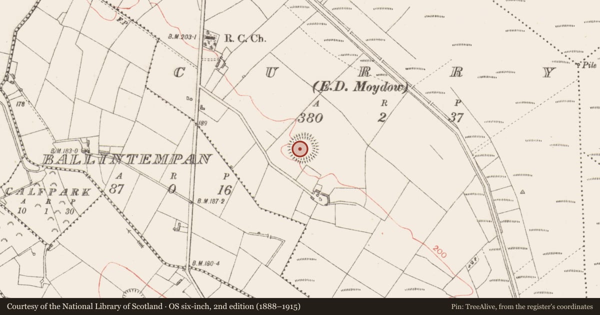 Ordnance Survey six-inch map, 2nd edition (1888–1915) covering the location of Ringfort - rath, Curry, County Longford, with a pin at the register's coordinates