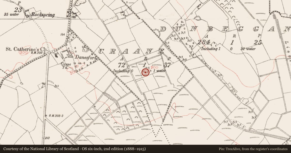 Ordnance Survey six-inch map, 2nd edition (1888–1915) covering the location of Ringfort - rath, Craane, County Longford, with a pin at the register's coordinates