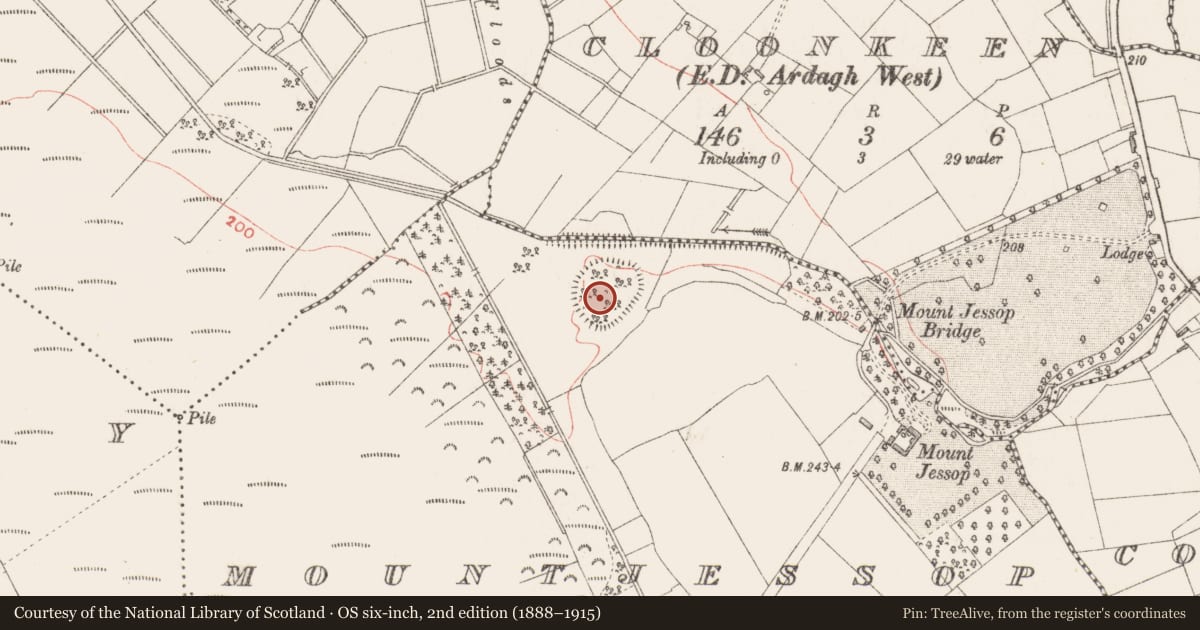 Ordnance Survey six-inch map, 2nd edition (1888–1915) covering the location of Enclosure, Mountjessop, County Longford, with a pin at the register's coordinates