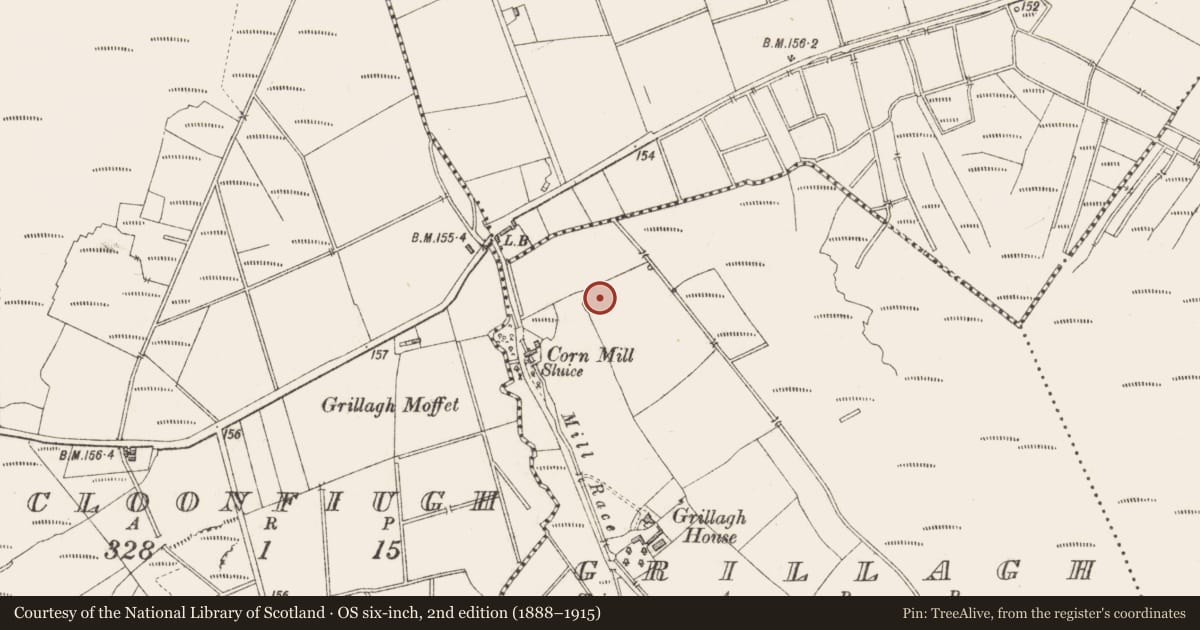 Ordnance Survey six-inch map, 2nd edition (1888–1915) covering the location of Ringfort - rath, Grillagh, County Longford, with a pin at the register's coordinates