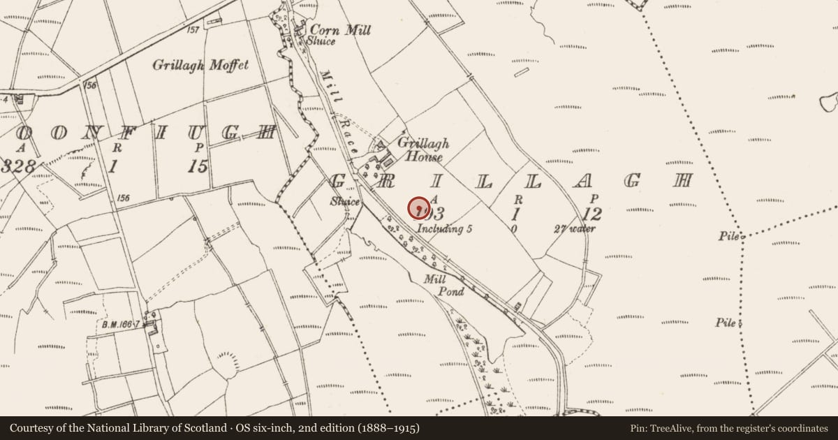 Ordnance Survey six-inch map, 2nd edition (1888–1915) covering the location of Ringfort - rath, Grillagh, County Longford, with a pin at the register's coordinates