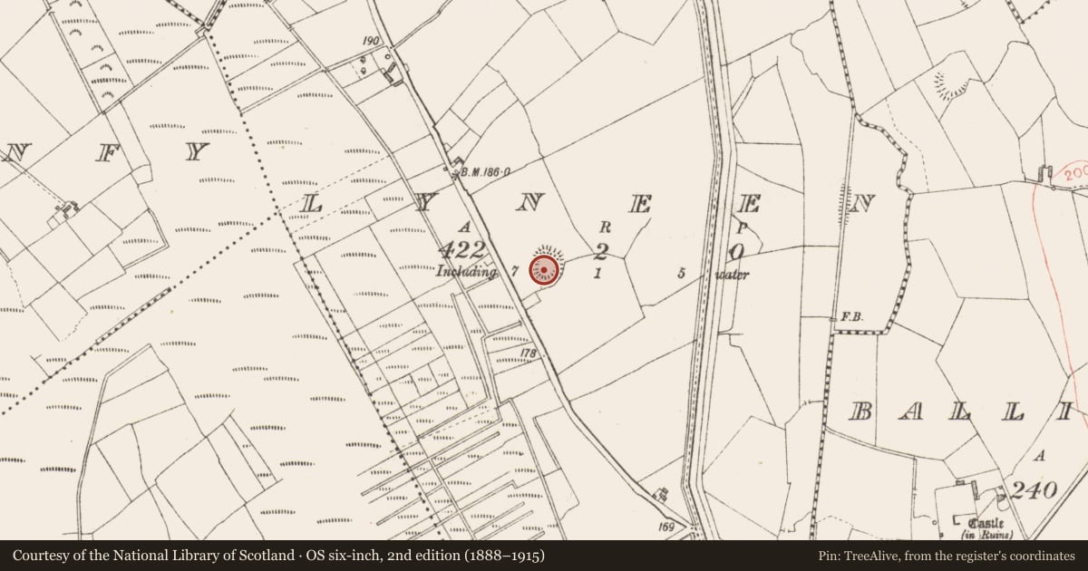 Ordnance Survey six-inch map, 2nd edition (1888–1915) covering the location of Ringfort - rath, Lyneen, County Longford, with a pin at the register's coordinates