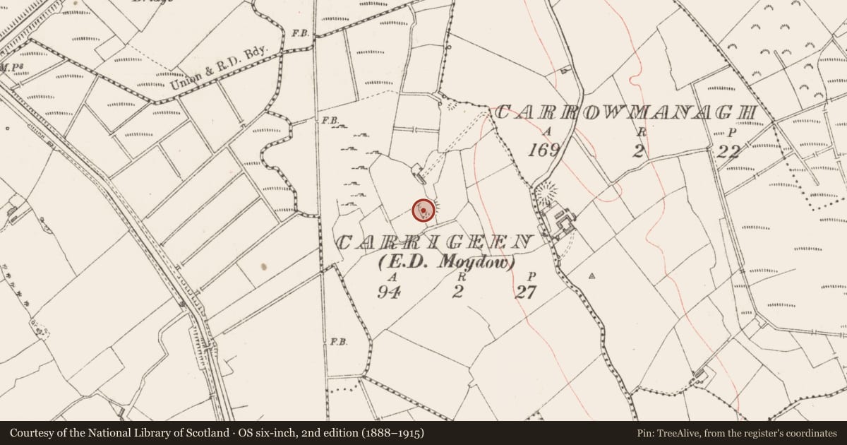 Ordnance Survey six-inch map, 2nd edition (1888–1915) covering the location of Ringfort - rath, Carrigeen, County Longford, with a pin at the register's coordinates