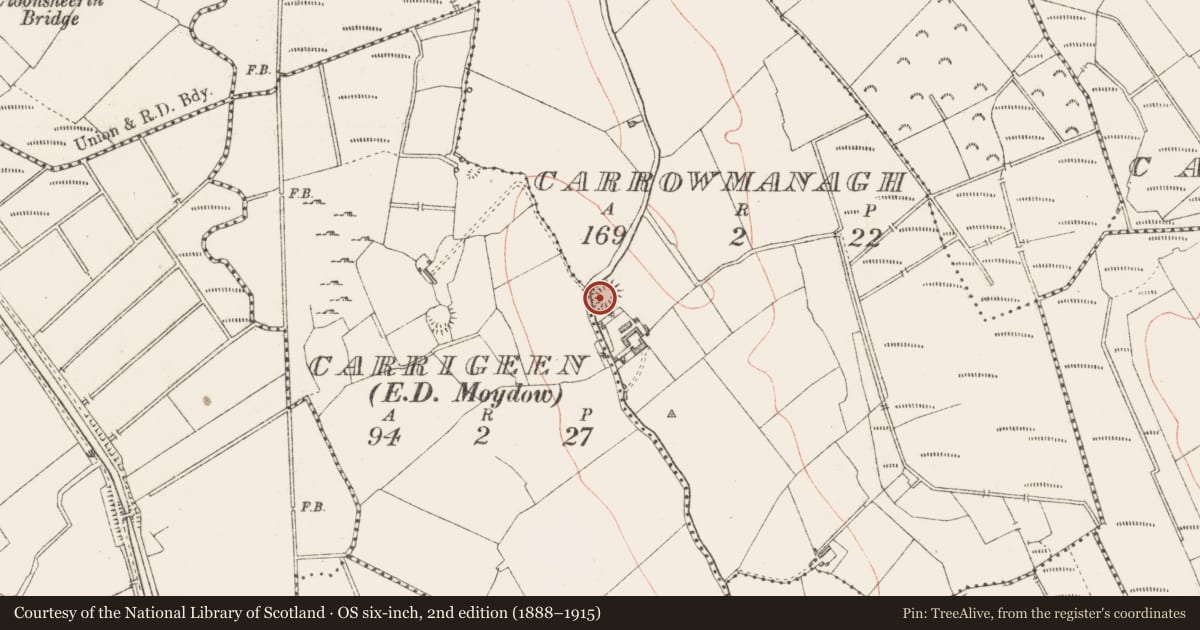 Ordnance Survey six-inch map, 2nd edition (1888–1915) covering the location of Ringfort - rath, Carrowmanagh, County Longford, with a pin at the register's coordinates