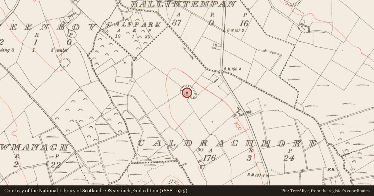 Ordnance Survey six-inch map, 2nd edition (1888–1915) covering the location of Enclosure, Caldraghmore, County Longford, with a pin at the register's coordinates