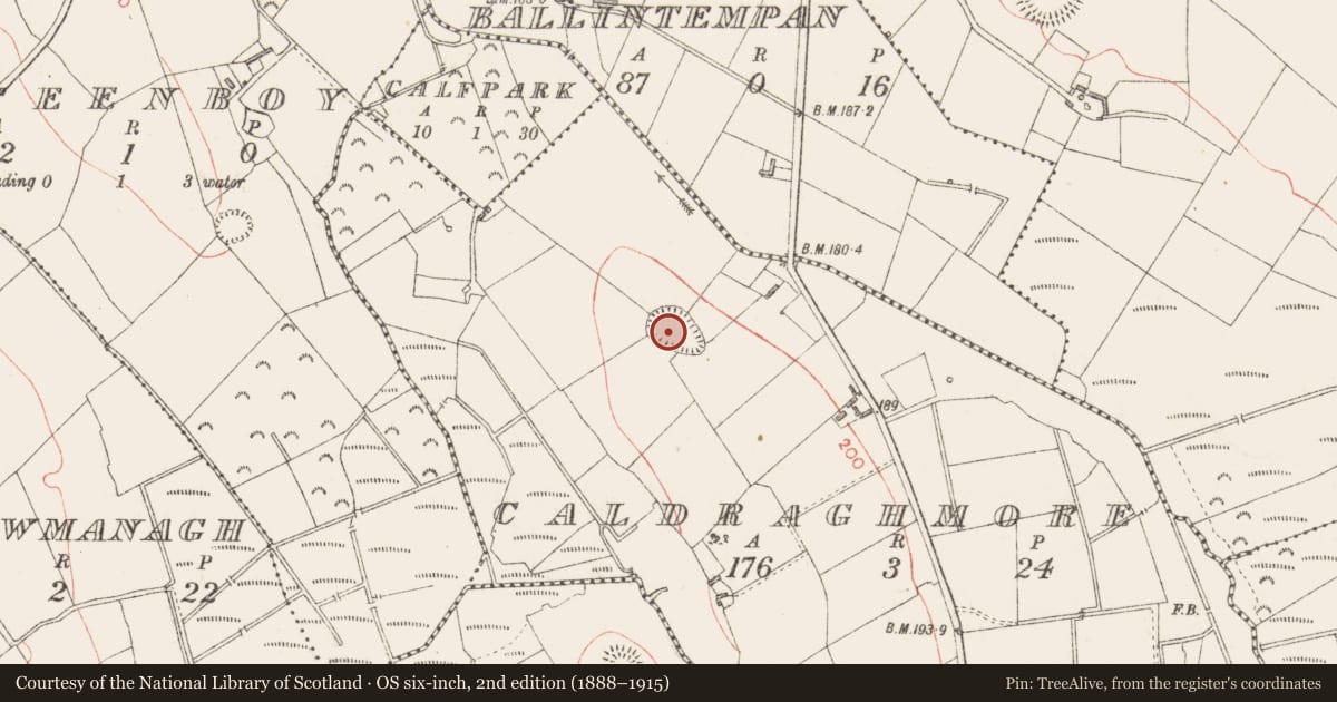 Ordnance Survey six-inch map, 2nd edition (1888–1915) covering the location of Children's burial ground, Caldraghmore, County Longford, with a pin at the register's coordinates