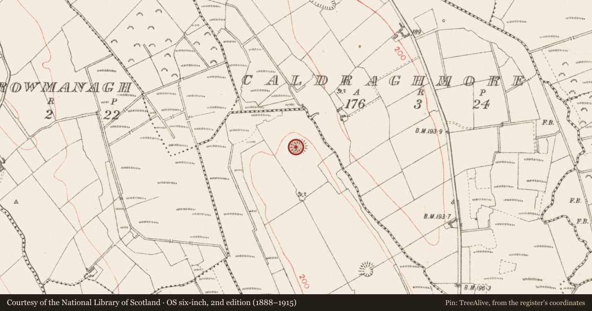 Ordnance Survey six-inch map, 2nd edition (1888–1915) covering the location of Ringfort - rath, Cloonanny, County Longford, with a pin at the register's coordinates