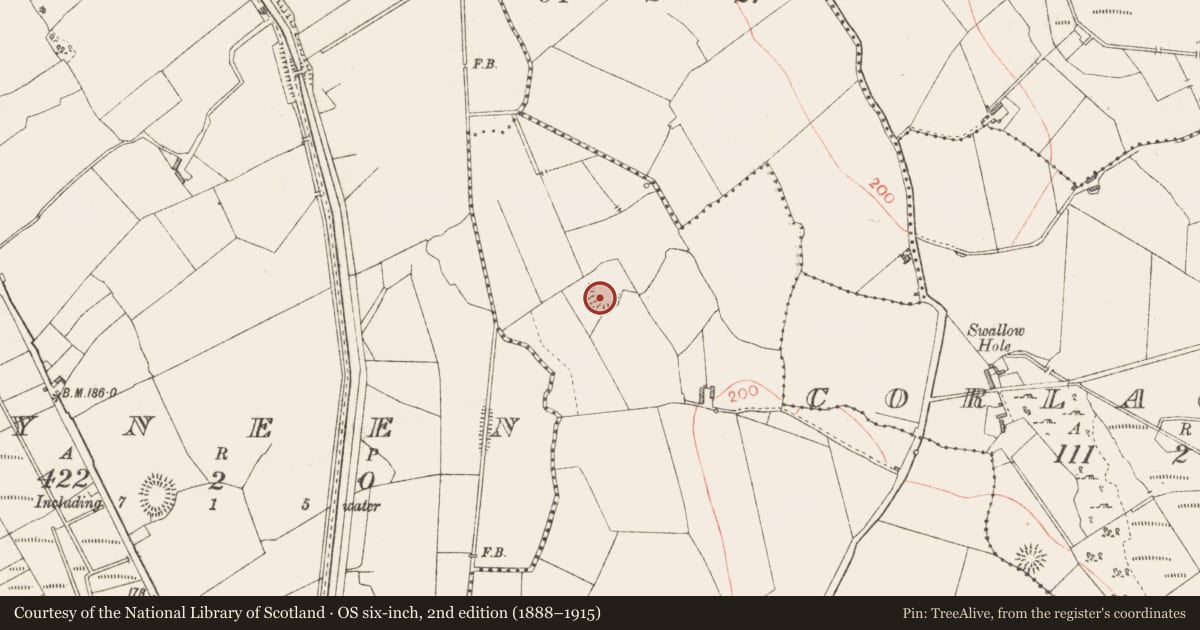 Ordnance Survey six-inch map, 2nd edition (1888–1915) covering the location of Ringfort - rath, Ballinamore, County Longford, with a pin at the register's coordinates