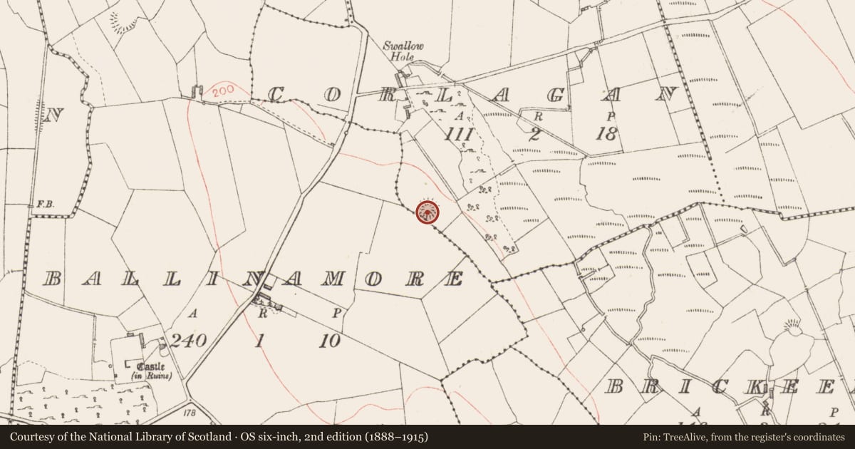 Ordnance Survey six-inch map, 2nd edition (1888–1915) covering the location of Ringfort - rath, Corlagan, County Longford, with a pin at the register's coordinates