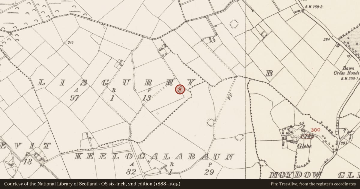 Ordnance Survey six-inch map, 2nd edition (1888–1915) covering the location of Ringfort - rath, Lisgurry, County Longford, with a pin at the register's coordinates