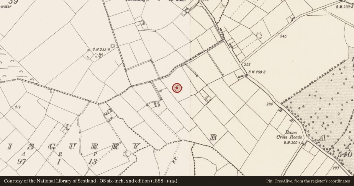 Ordnance Survey six-inch map, 2nd edition (1888–1915) covering the location of Ringfort - rath, Bawn, County Longford, with a pin at the register's coordinates