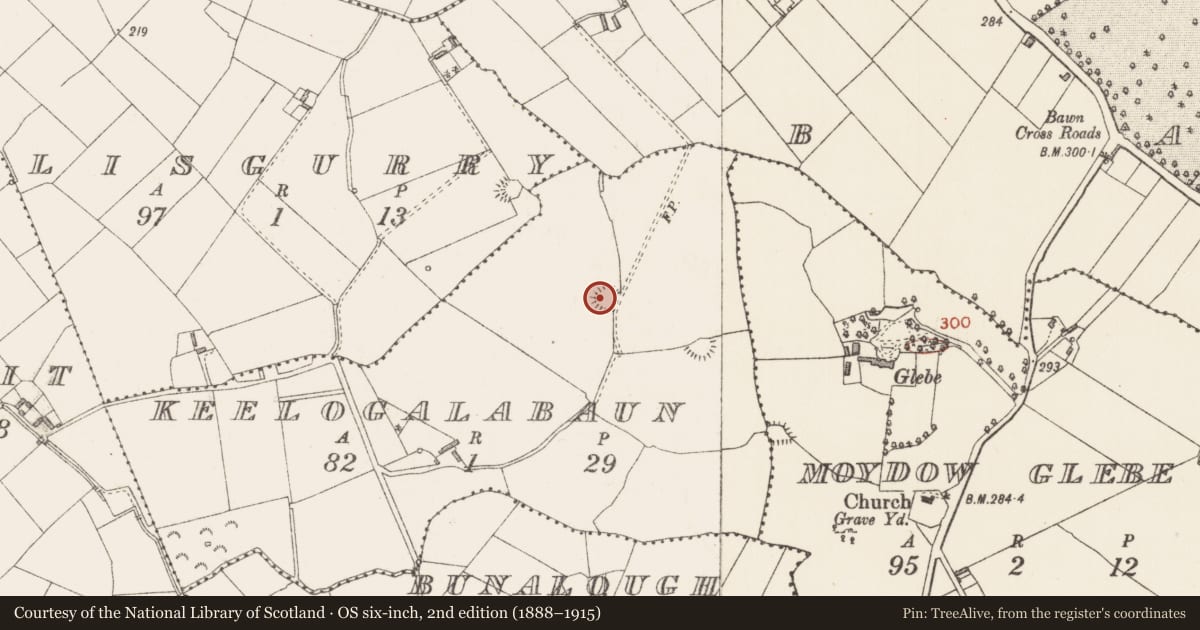 Ordnance Survey six-inch map, 2nd edition (1888–1915) covering the location of Ringfort - rath, Keelogalabaun, County Longford, with a pin at the register's coordinates