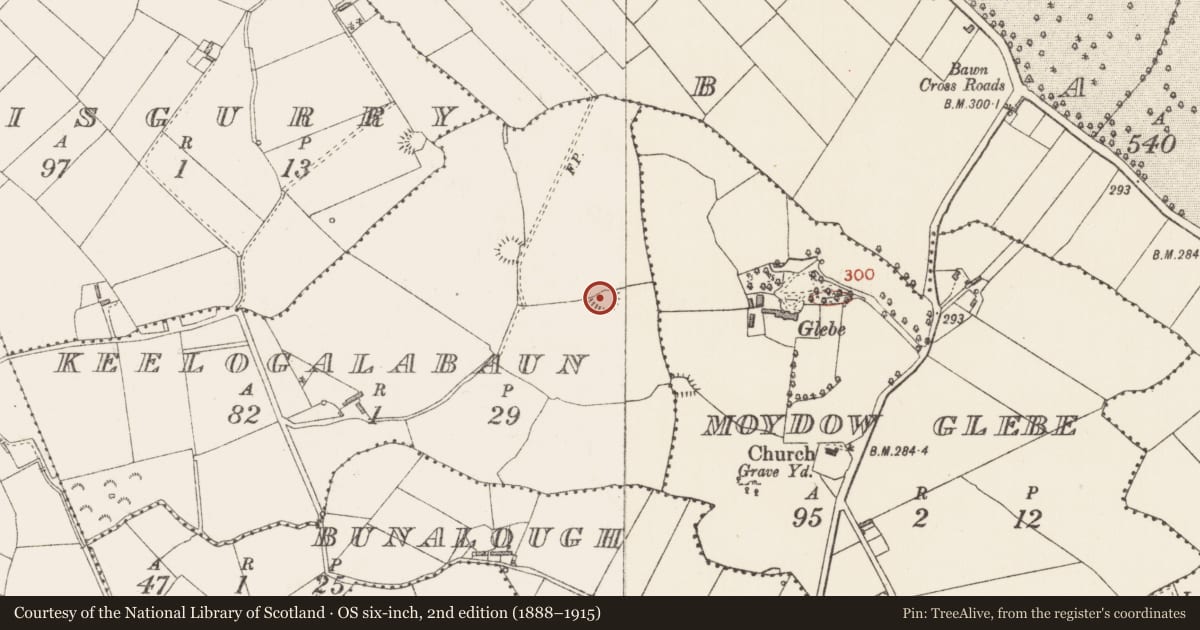Ordnance Survey six-inch map, 2nd edition (1888–1915) covering the location of Ringfort - rath, Keelogalabaun, County Longford, with a pin at the register's coordinates