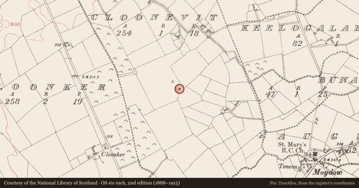 Ordnance Survey six-inch map, 2nd edition (1888–1915) covering the location of Ringfort - rath, Cloonevit, County Longford, with a pin at the register's coordinates