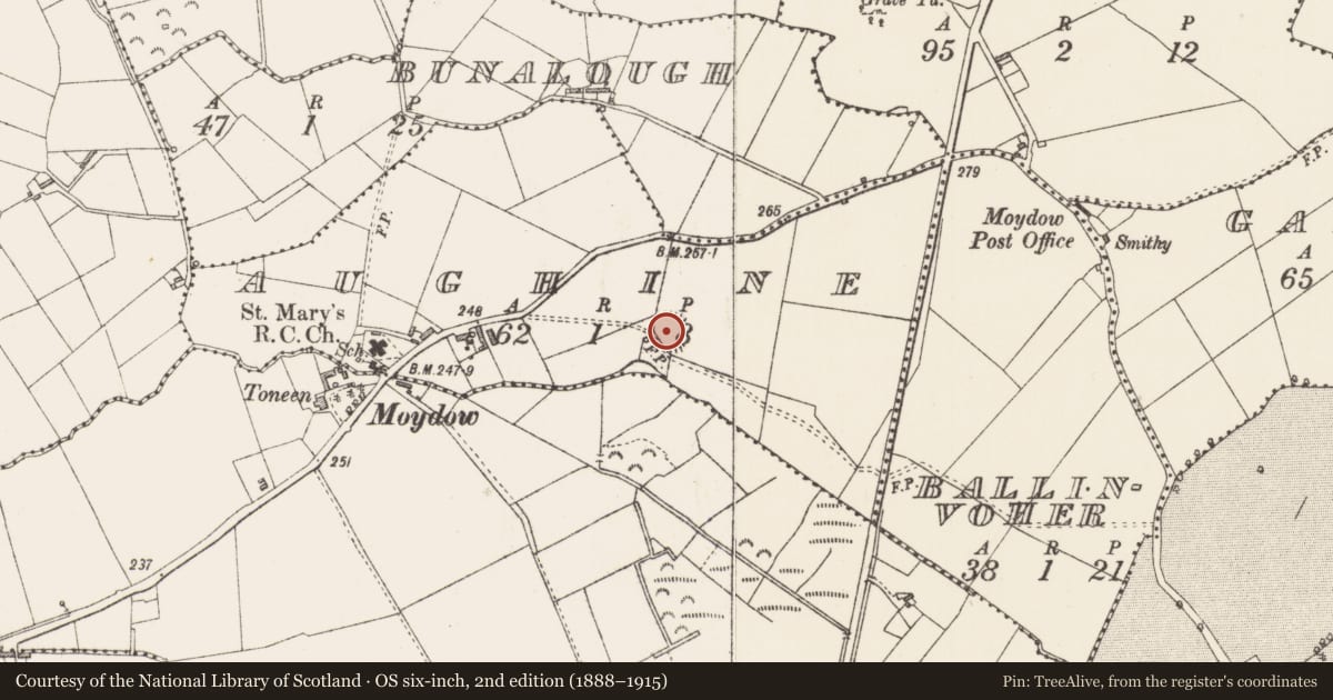 Ordnance Survey six-inch map, 2nd edition (1888–1915) covering the location of Ringfort - rath, Aughine, County Longford, with a pin at the register's coordinates