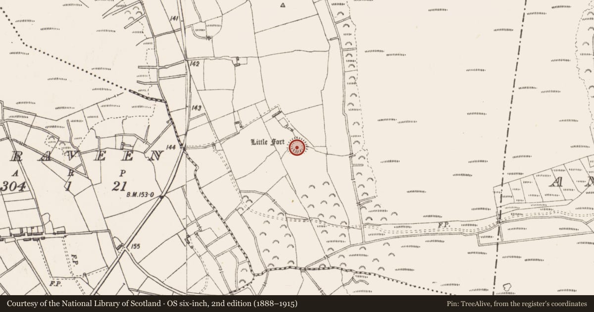 Ordnance Survey six-inch map, 2nd edition (1888–1915) covering the location of Ringfort - rath, Cloonfore, County Longford, with a pin at the register's coordinates