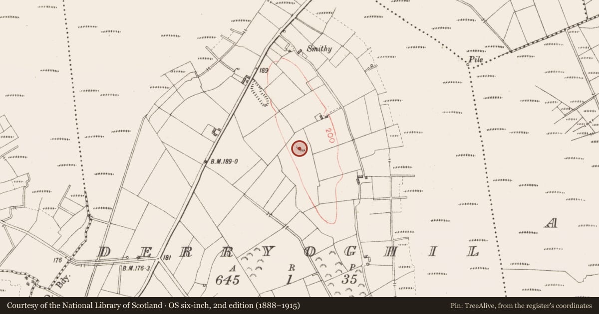 Ordnance Survey six-inch map, 2nd edition (1888–1915) covering the location of Ringfort - rath, Derryoghil, County Longford, with a pin at the register's coordinates