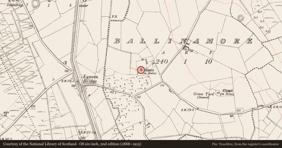 Ordnance Survey six-inch map, 2nd edition (1888–1915) covering the location of House - fortified house, Ballinamore, County Longford, with a pin at the register's coordinates