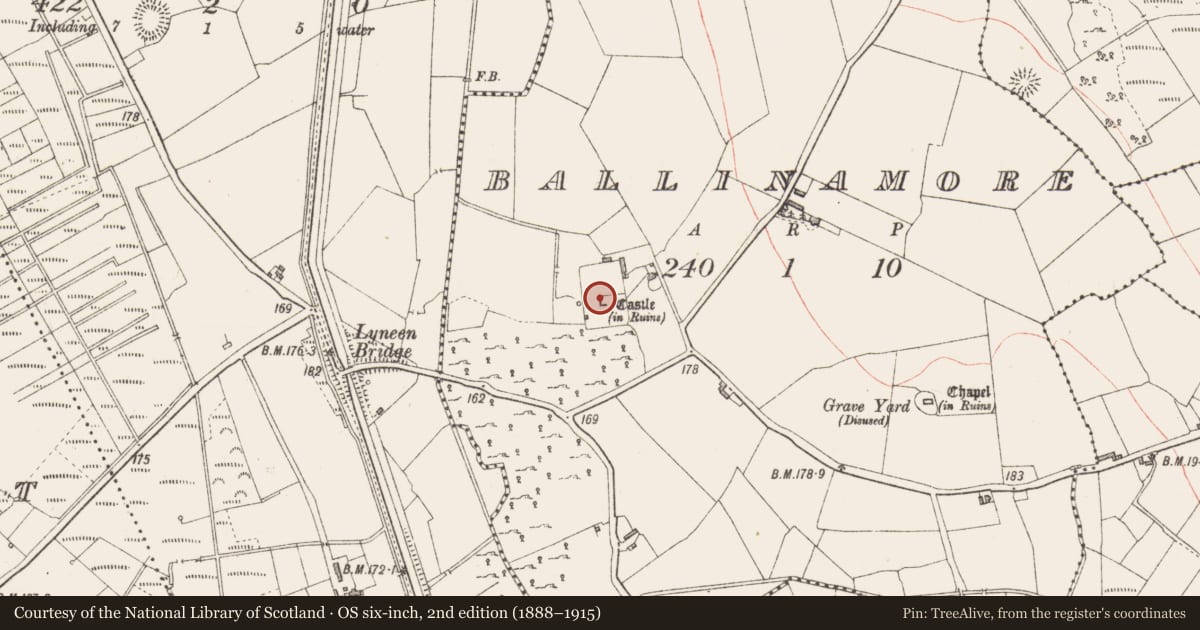 Ordnance Survey six-inch map, 2nd edition (1888–1915) covering the location of Bawn, Ballinamore, County Longford, with a pin at the register's coordinates