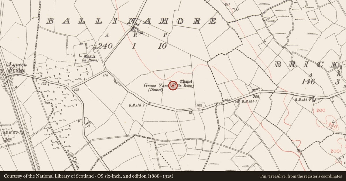 Ordnance Survey six-inch map, 2nd edition (1888–1915) covering the location of Church, Ballinamore, County Longford, with a pin at the register's coordinates