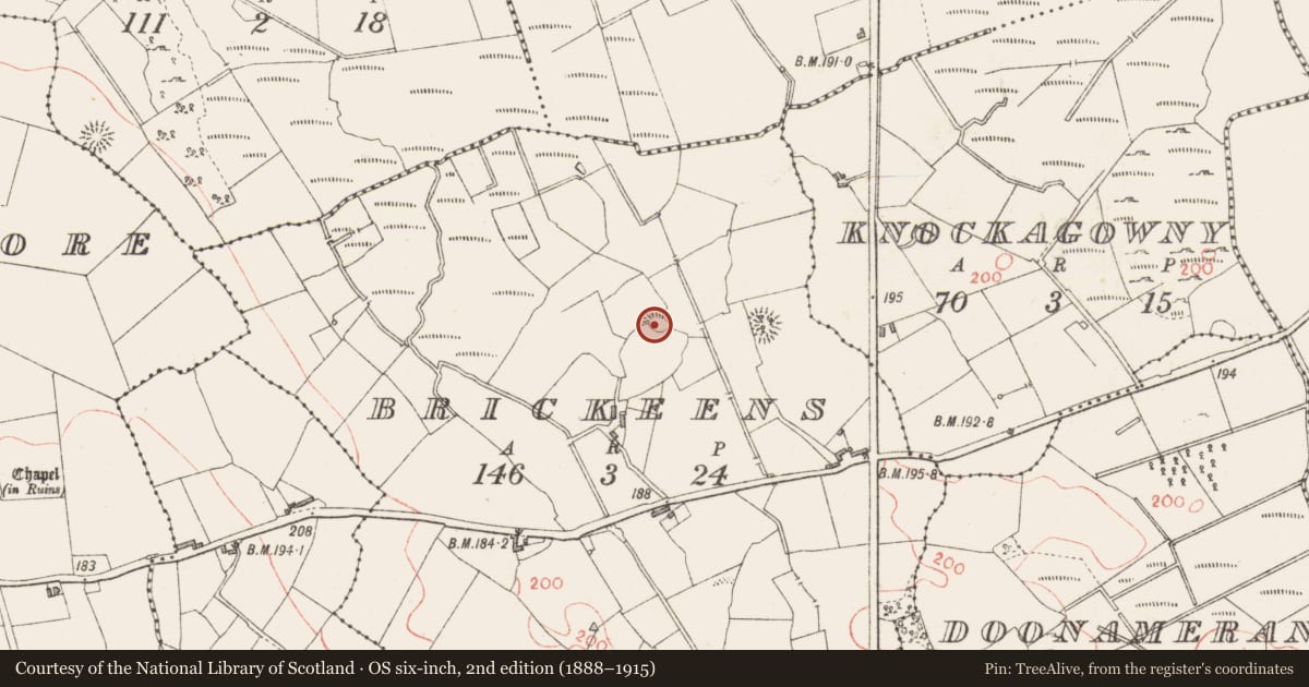 Ordnance Survey six-inch map, 2nd edition (1888–1915) covering the location of Ringfort - rath, Brickeens, County Longford, with a pin at the register's coordinates