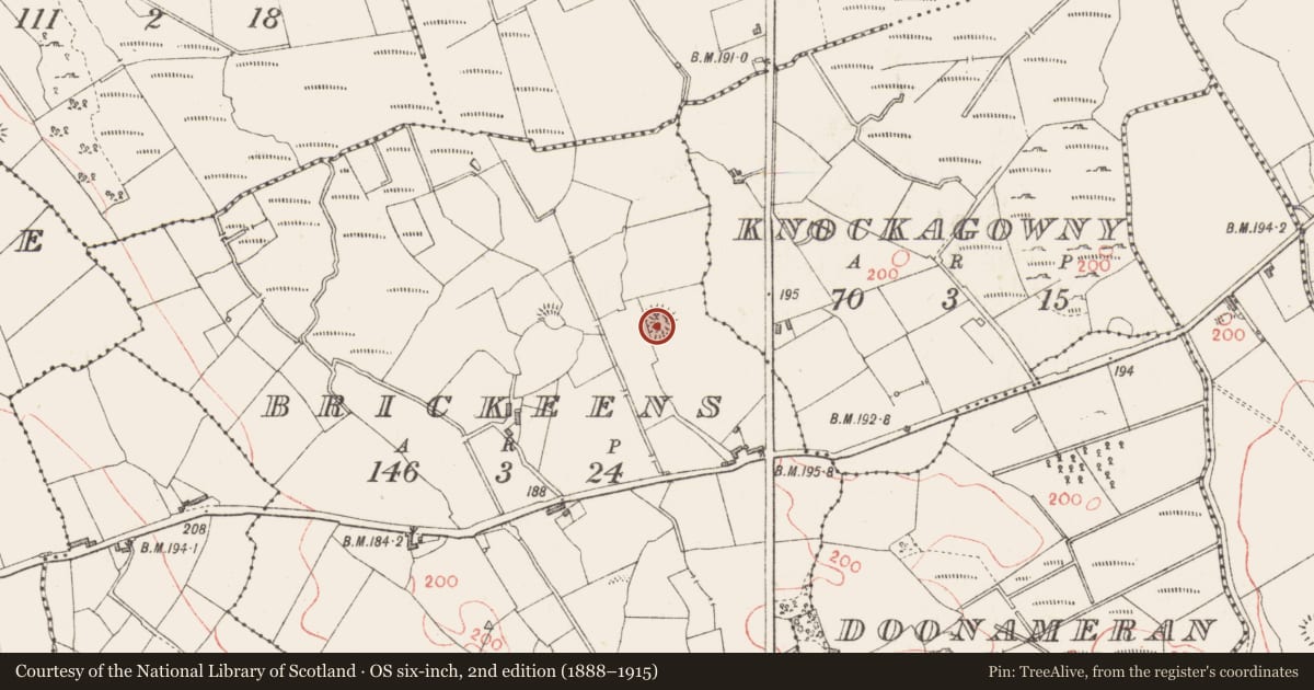 Ordnance Survey six-inch map, 2nd edition (1888–1915) covering the location of Ringfort - rath, Brickeens, County Longford, with a pin at the register's coordinates