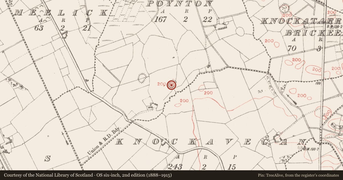 Ordnance Survey six-inch map, 2nd edition (1888–1915) covering the location of Ringfort - rath, Knockatarry (Poynton), County Longford, with a pin at the register's coordinates