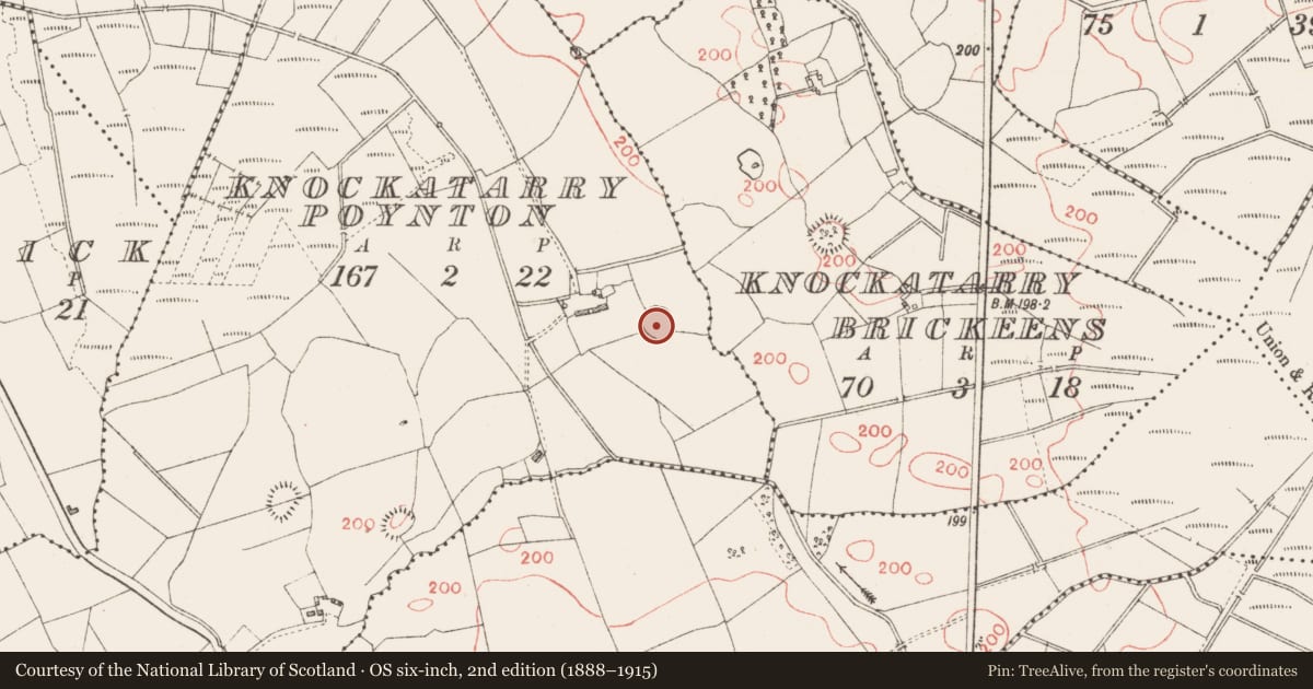Ordnance Survey six-inch map, 2nd edition (1888–1915) covering the location of Ringfort - rath, Knockatarry (Poynton), County Longford, with a pin at the register's coordinates