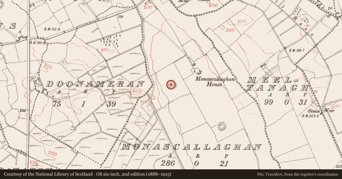 Ordnance Survey six-inch map, 2nd edition (1888–1915) covering the location of Ringfort - rath, Monascallaghan, County Longford, with a pin at the register's coordinates