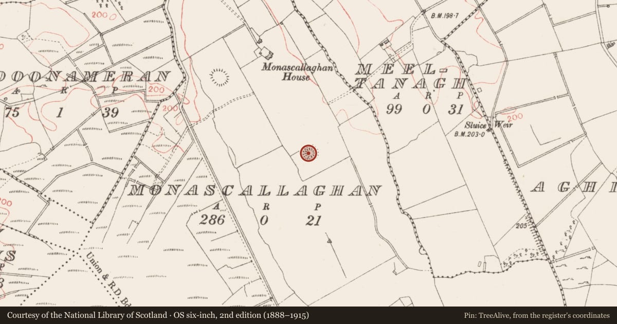 Ordnance Survey six-inch map, 2nd edition (1888–1915) covering the location of Ringfort - rath, Monascallaghan, County Longford, with a pin at the register's coordinates