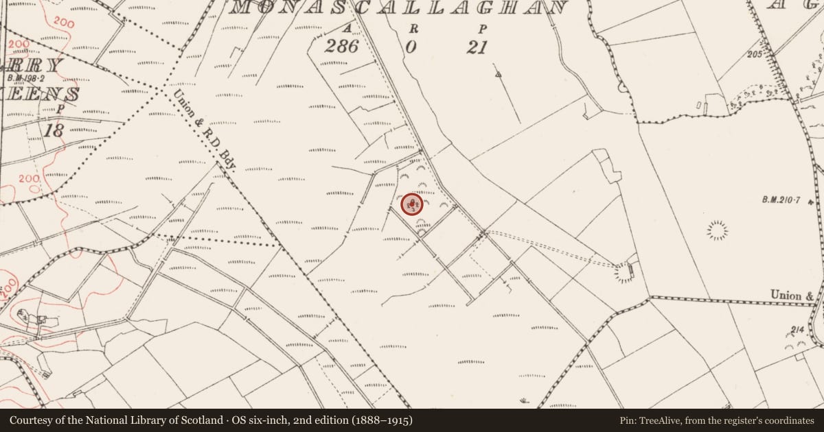 Ordnance Survey six-inch map, 2nd edition (1888–1915) covering the location of Ringfort - rath, Monascallaghan, County Longford, with a pin at the register's coordinates