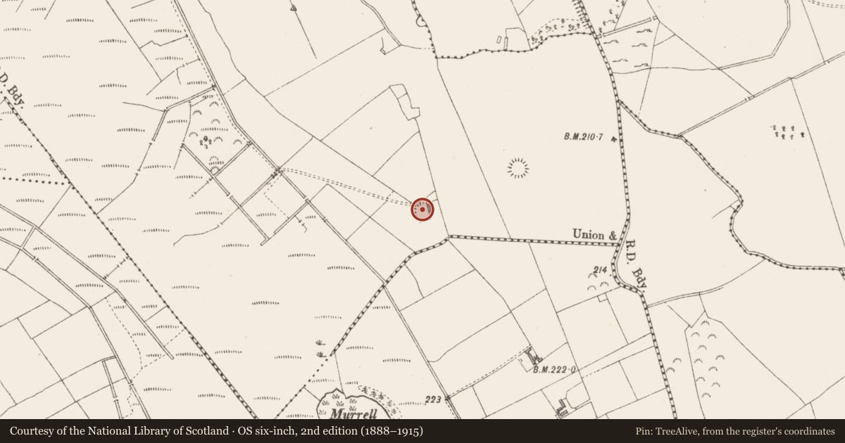 Ordnance Survey six-inch map, 2nd edition (1888–1915) covering the location of Ringfort - rath, Monascallaghan, County Longford, with a pin at the register's coordinates
