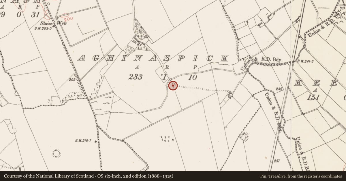 Ordnance Survey six-inch map, 2nd edition (1888–1915) covering the location of Enclosure, Aghinaspick, County Longford, with a pin at the register's coordinates