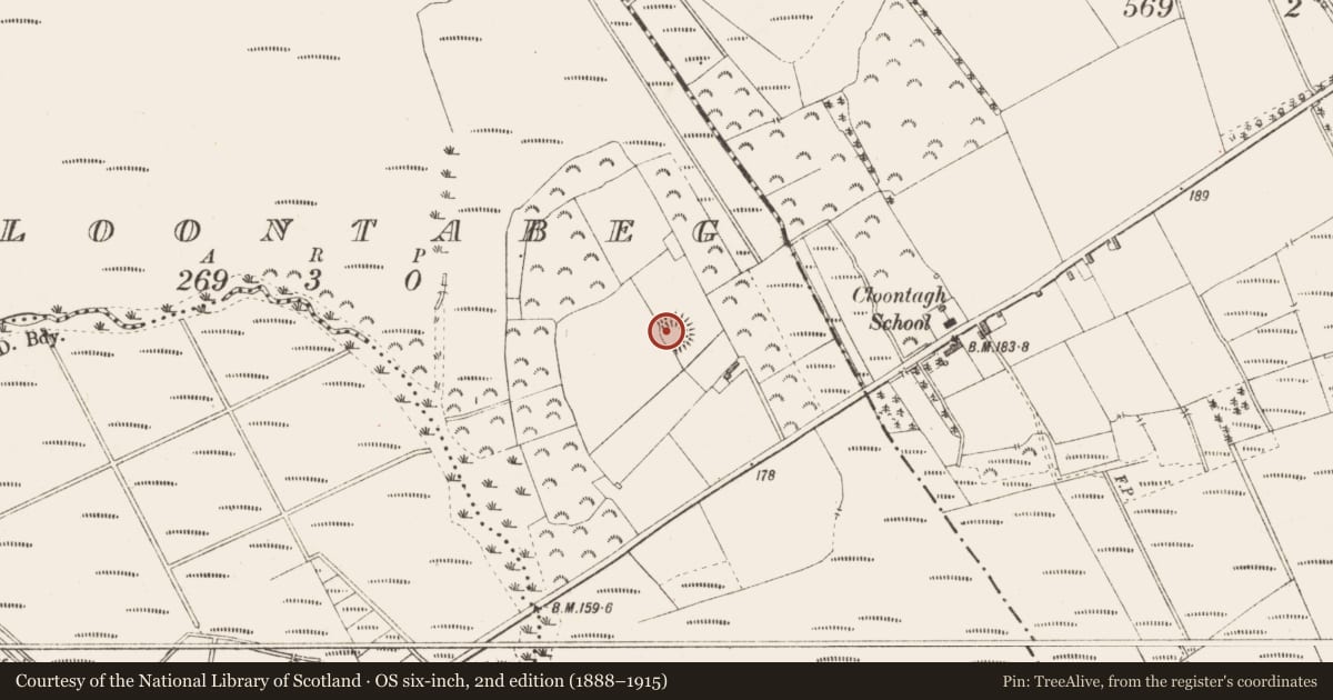 Ordnance Survey six-inch map, 2nd edition (1888–1915) covering the location of Ringfort - rath, Cloontabeg, County Longford, with a pin at the register's coordinates