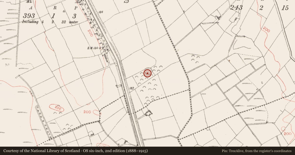 Ordnance Survey six-inch map, 2nd edition (1888–1915) covering the location of Ringfort - rath, Ards, County Longford, with a pin at the register's coordinates