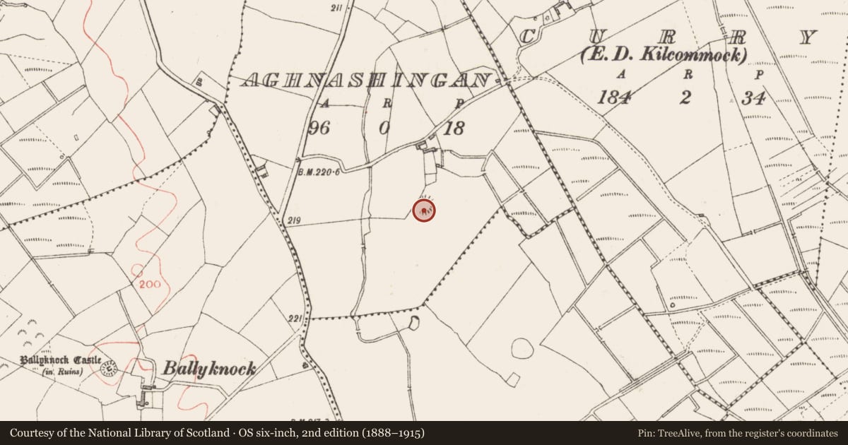 Ordnance Survey six-inch map, 2nd edition (1888–1915) covering the location of Burial ground, Aghnashingan, County Longford, with a pin at the register's coordinates