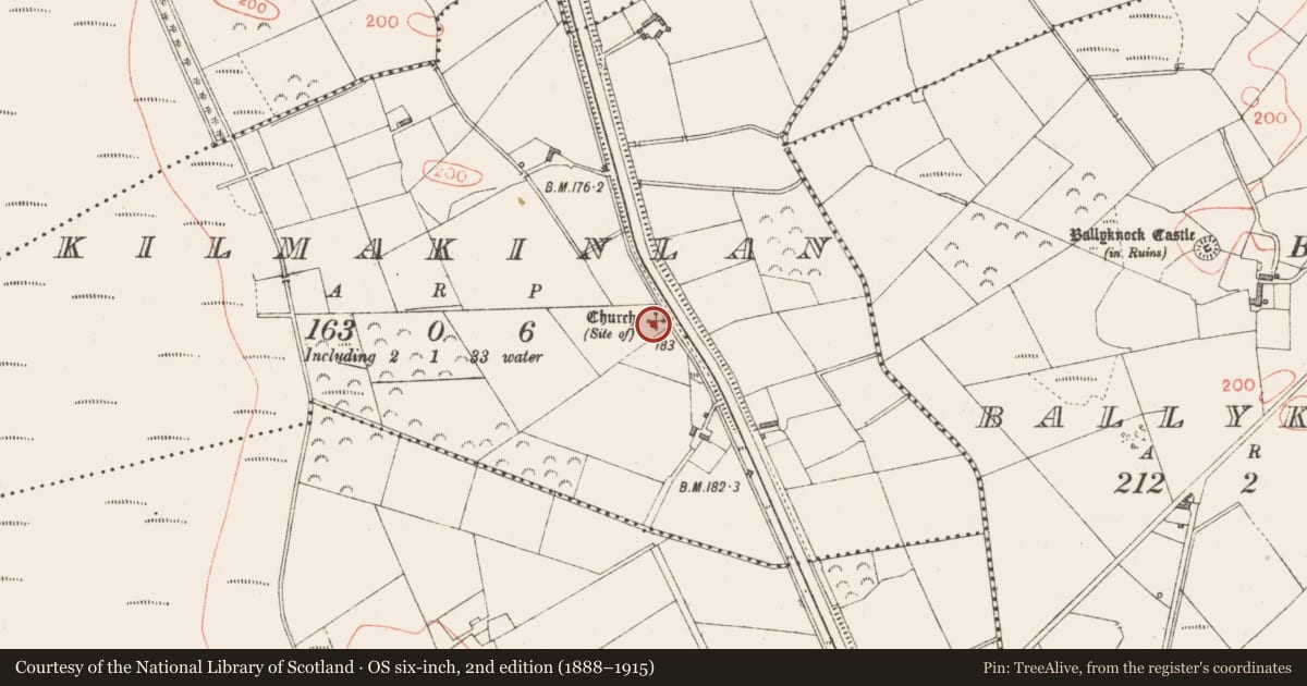 Ordnance Survey six-inch map, 2nd edition (1888–1915) covering the location of Church, Kilmakinlan, County Longford, with a pin at the register's coordinates