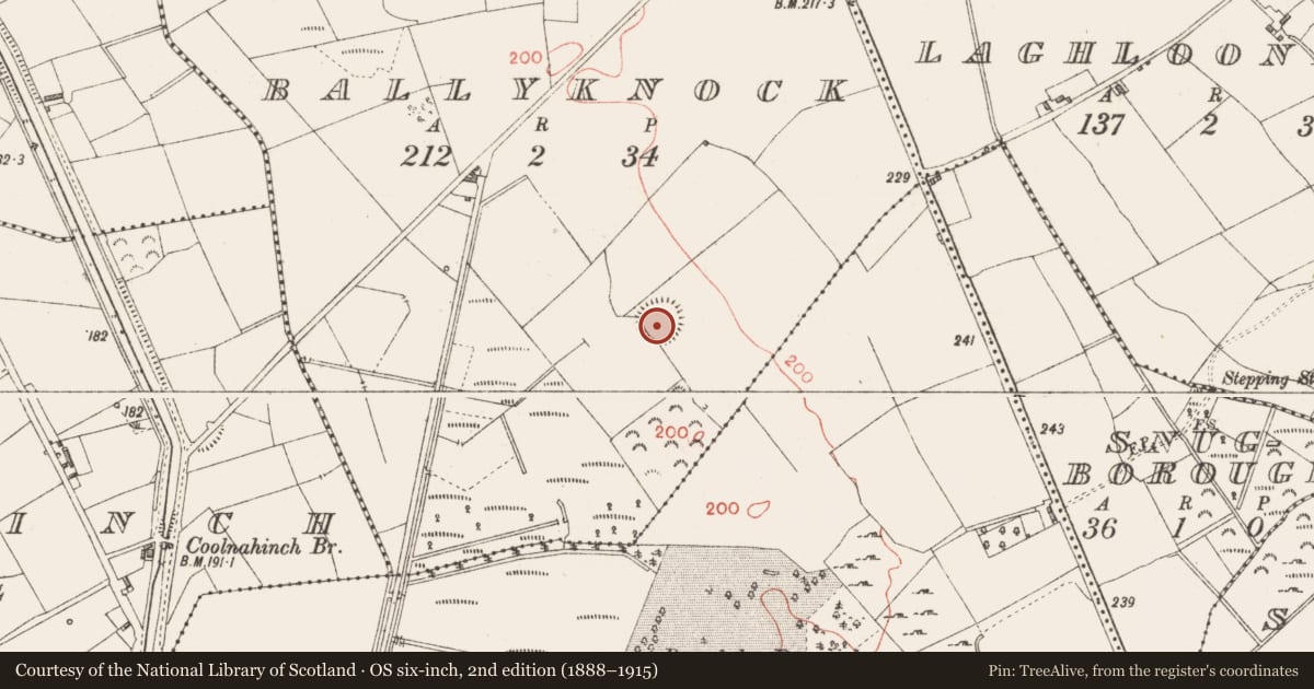 Ordnance Survey six-inch map, 2nd edition (1888–1915) covering the location of Ringfort - rath, Ballyknock, County Longford, with a pin at the register's coordinates