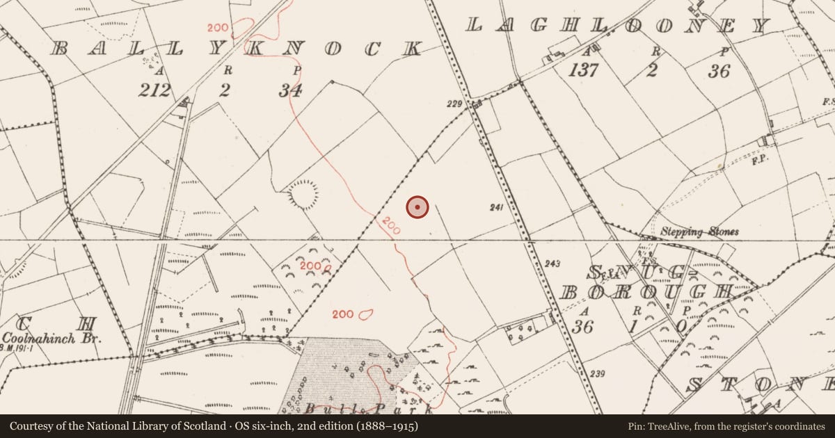 Ordnance Survey six-inch map, 2nd edition (1888–1915) covering the location of Barrow - ring-barrow, Mosstown, County Longford, with a pin at the register's coordinates