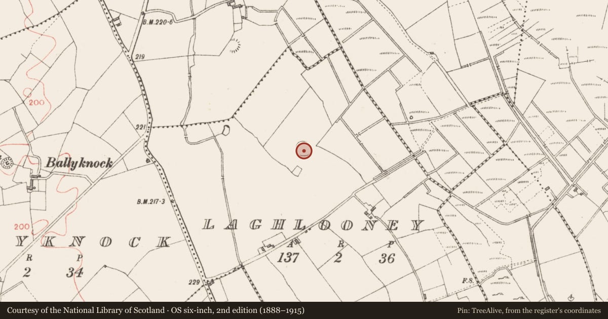 Ordnance Survey six-inch map, 2nd edition (1888–1915) covering the location of Ringfort - rath, Laghlooney, County Longford, with a pin at the register's coordinates