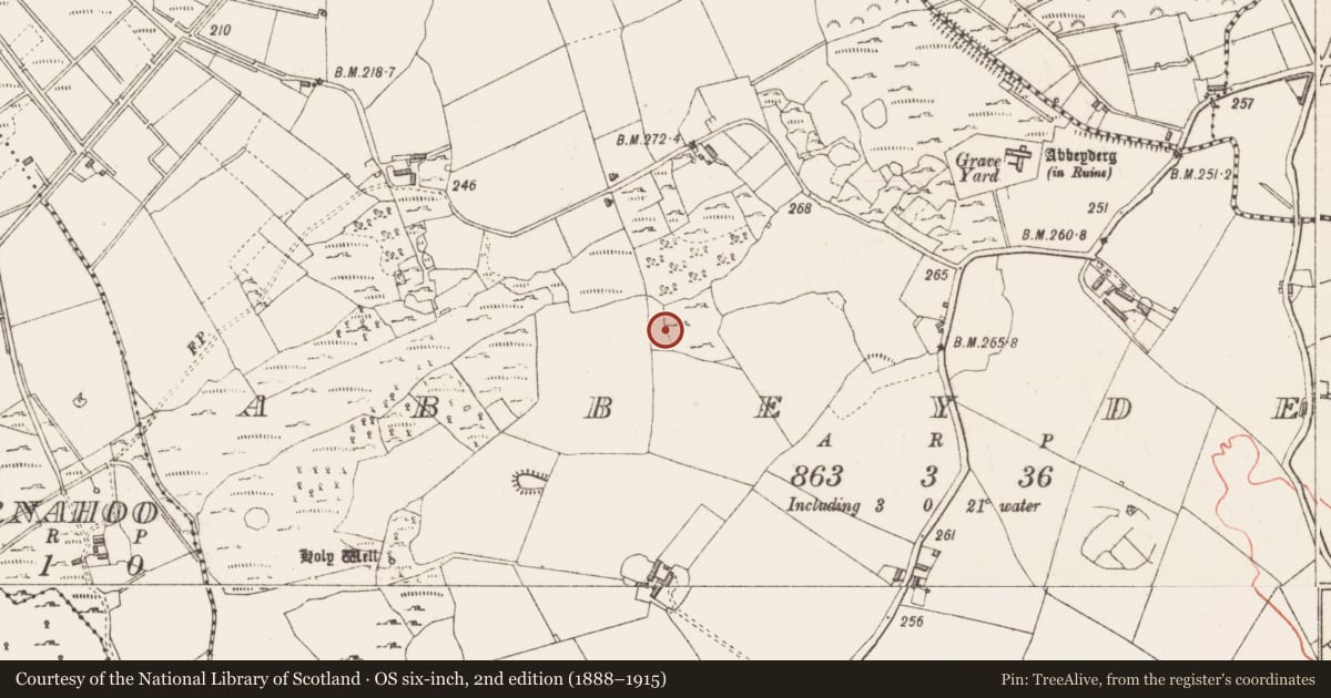 Ordnance Survey six-inch map, 2nd edition (1888–1915) covering the location of Megalithic tomb - court tomb, Abbeyderg, County Longford, with a pin at the register's coordinates
