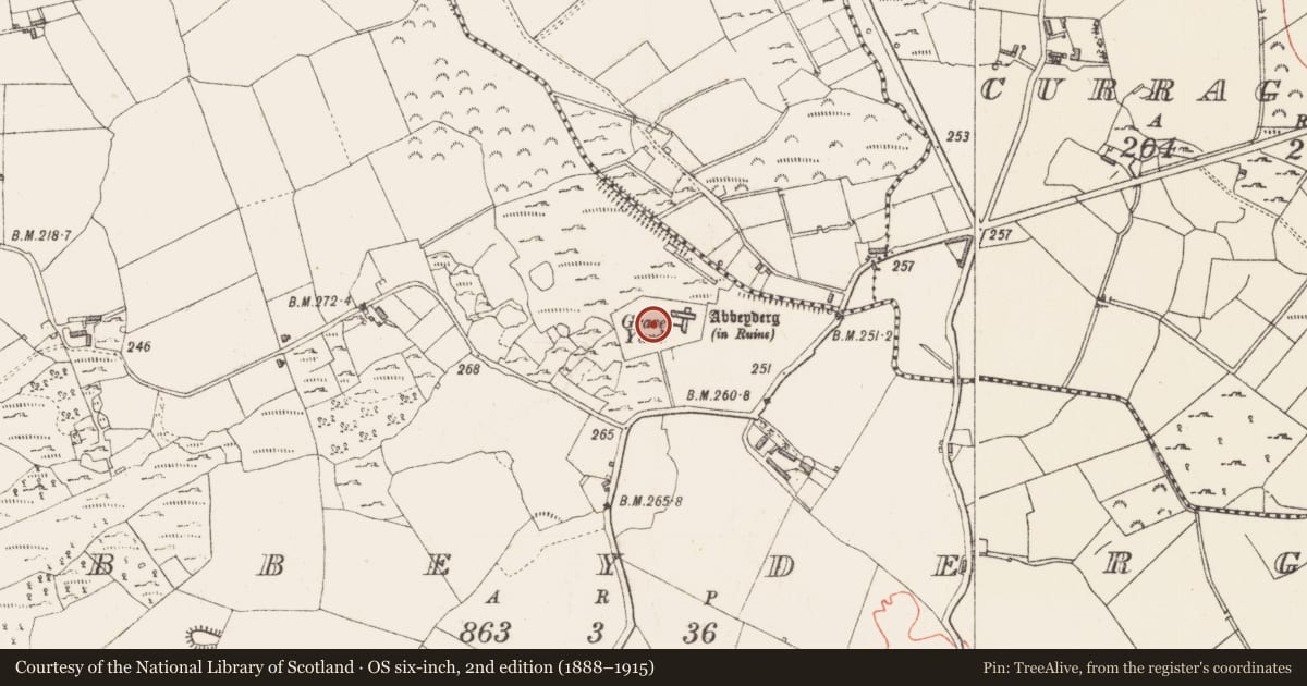 Ordnance Survey six-inch map, 2nd edition (1888–1915) covering the location of Graveyard, Abbeyderg, County Longford, with a pin at the register's coordinates