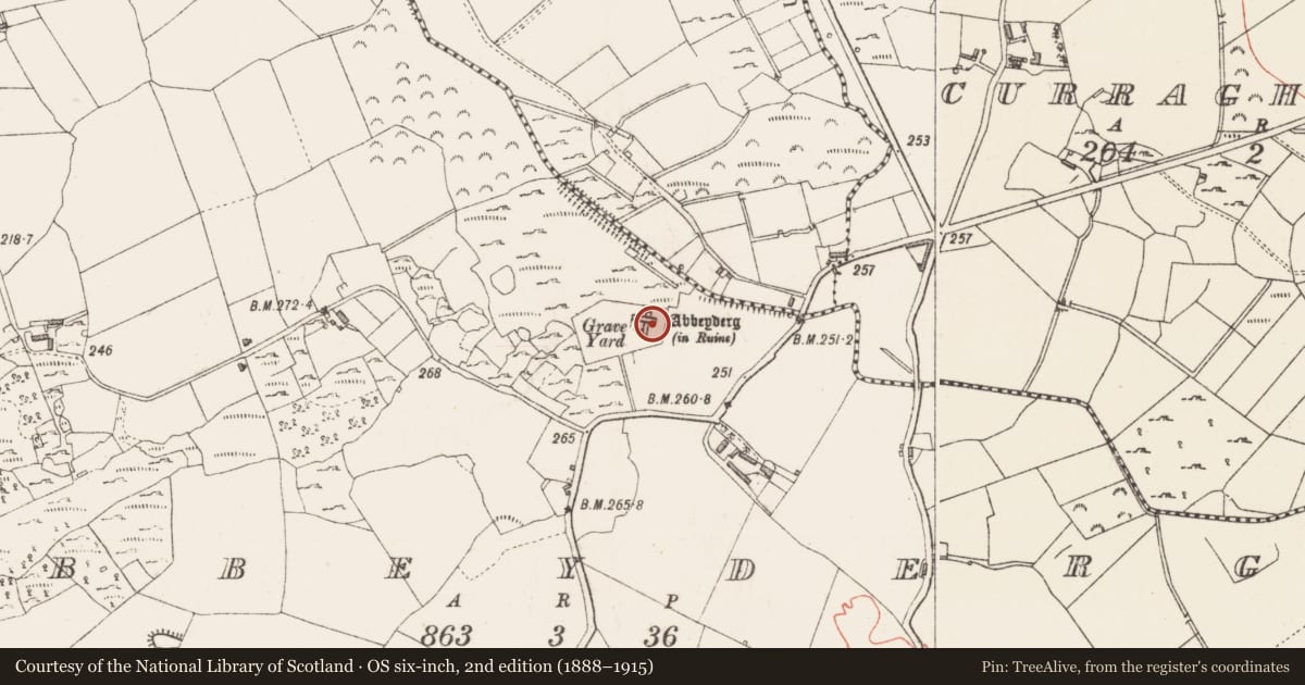 Ordnance Survey six-inch map, 2nd edition (1888–1915) covering the location of Graveslab, Abbeyderg, County Longford, with a pin at the register's coordinates