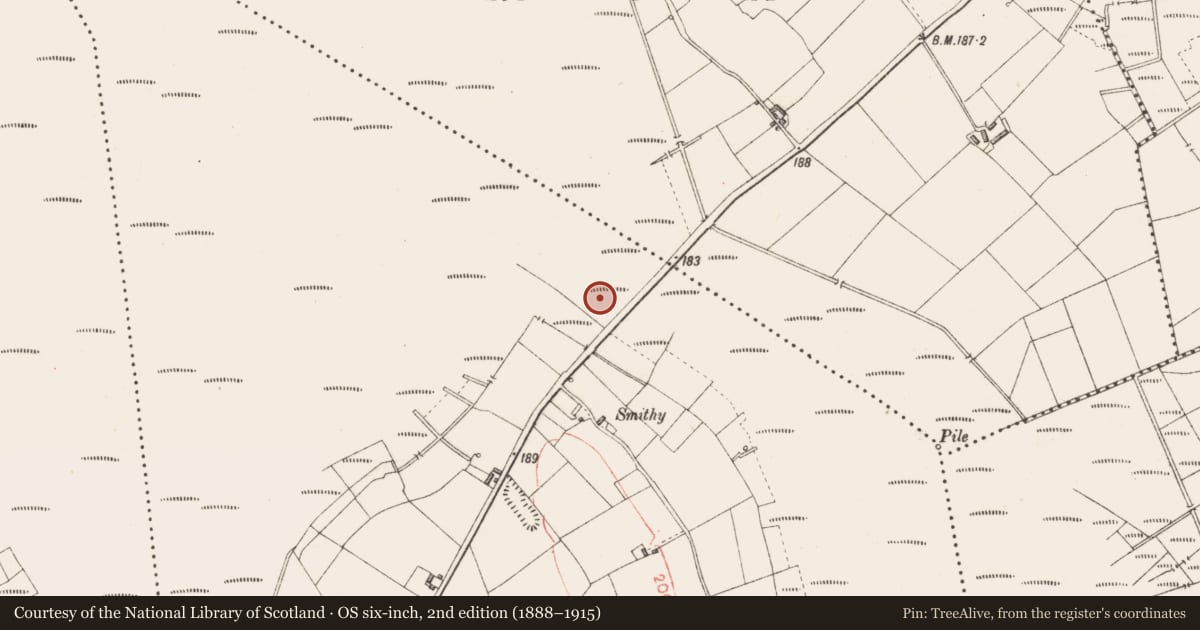 Ordnance Survey six-inch map, 2nd edition (1888–1915) covering the location of Road - class 3 togher, Derryoghil, County Longford, with a pin at the register's coordinates