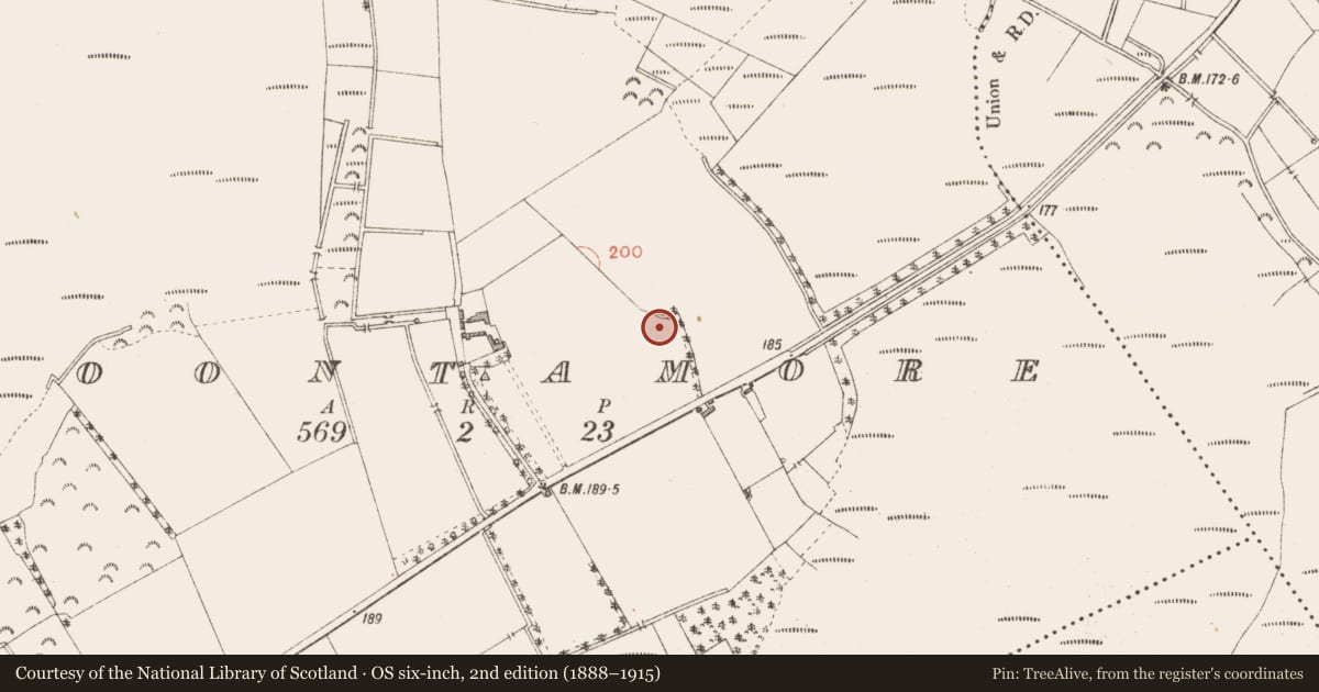 Ordnance Survey six-inch map, 2nd edition (1888–1915) covering the location of Ringfort - rath, Cloontamore, County Longford, with a pin at the register's coordinates