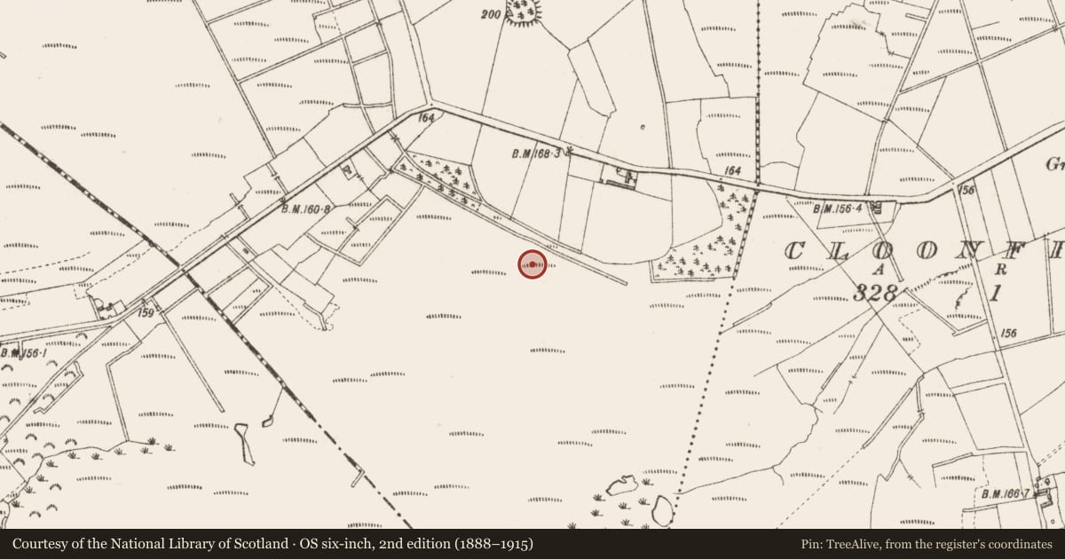 Ordnance Survey six-inch map, 2nd edition (1888–1915) covering the location of Road - class 3 togher, Rappareehill, County Longford, with a pin at the register's coordinates
